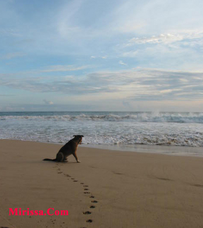 sandy beaches in sri lanka